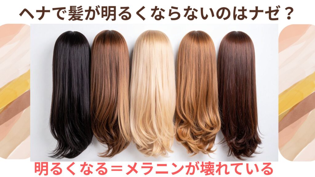 「ヘナは明るくならない」その理由を知っていますか?髪が明るくなるとき、メラニン色素は分解されています